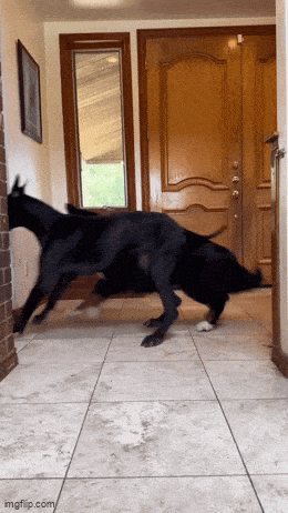 Acid GIFs, August 28 (25 gifs) Acid GIFs, August 28 (25 gifs)