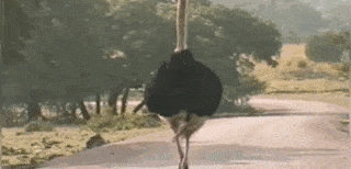 Acid GIFs, August 28 (25 gifs) Acid GIFs, August 28 (25 gifs)
