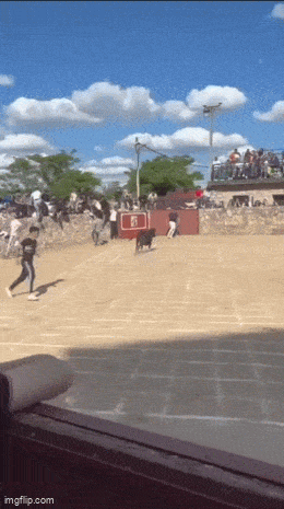 Acid GIFs, August 28 (25 gifs)