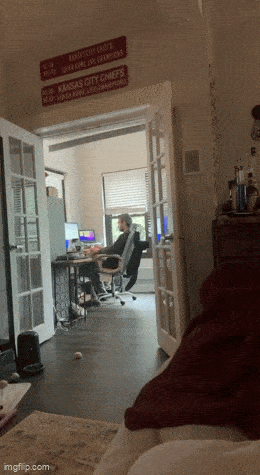Acid GIFs, August 28 (25 gifs) Acid GIFs, August 28 (25 gifs)
