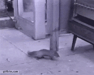 Acid GIFs, August 28 (25 gifs) Acid GIFs, August 28 (25 gifs)