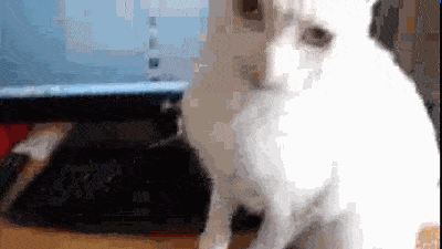 Acid GIFs, August 28 (25 gifs) Acid GIFs, August 28 (25 gifs)