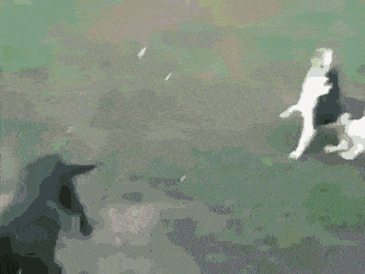 Acid GIFs, August 28 (25 gifs) Acid GIFs, August 28 (25 gifs)