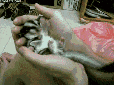 Acid GIFs, August 28 (25 gifs) Acid GIFs, August 28 (25 gifs)