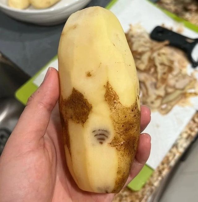 Weird Finds And Situations (36 pics)