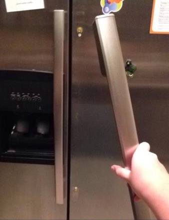 Bad Days Happen (24 pics)