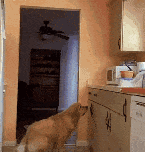 Acid GIFs, August 29 (25 gifs) Acid GIFs, August 29 (25 gifs)