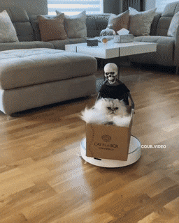 Acid GIFs, August 29 (25 gifs)