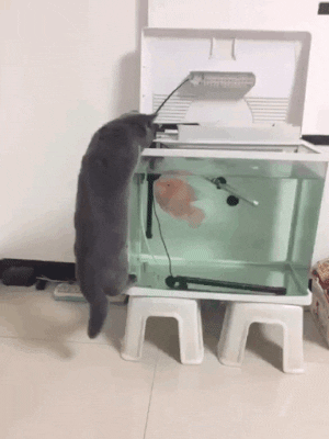 Acid GIFs, August 29 (25 gifs) Acid GIFs, August 29 (25 gifs)