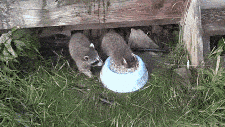 Acid GIFs, August 29 (25 gifs) Acid GIFs, August 29 (25 gifs)