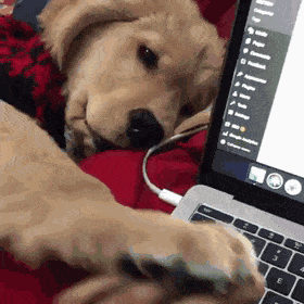 Acid GIFs, August 29 (25 gifs) Acid GIFs, August 29 (25 gifs)