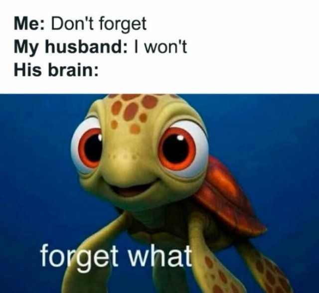 Family Memes (25 pics)