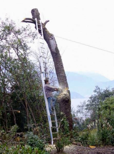 They Don't Care About Safety (17 pics)