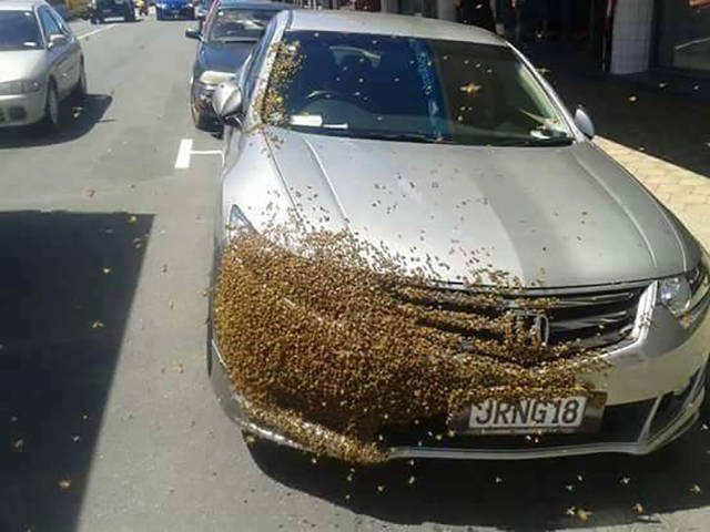 Unfortunate Situations (21 pics)