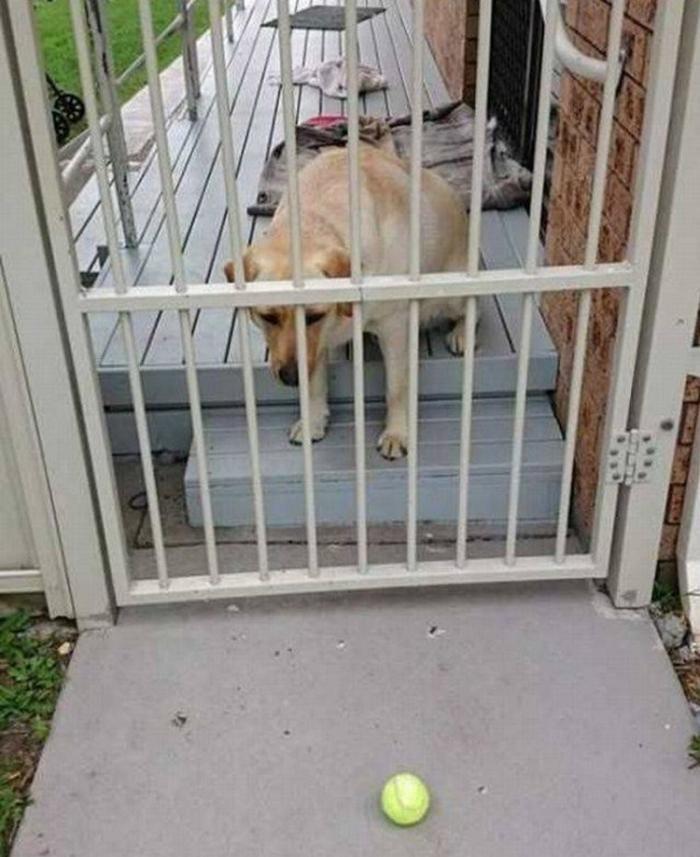 Bad Days Happen (27 pics)