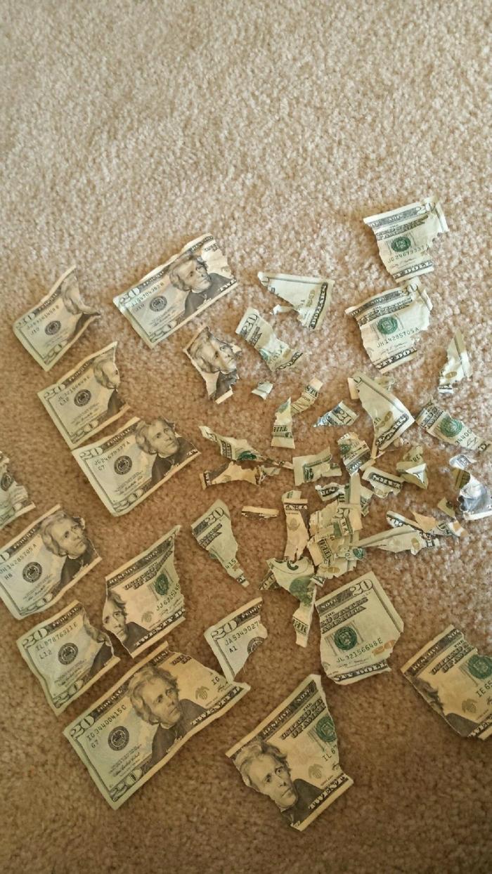 Bad Days Happen (27 pics)