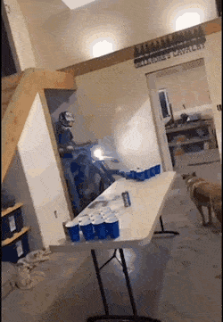 Acid GIFs, September 1 (25 gifs)