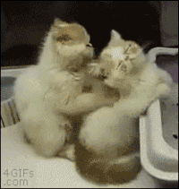 Acid GIFs, September 1 (25 gifs) Acid GIFs, September 1 (25 gifs)