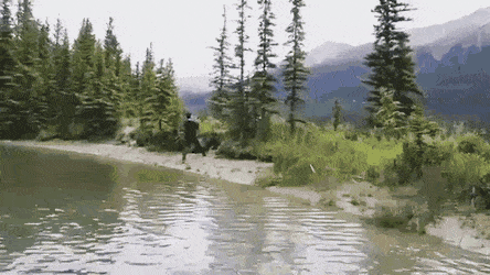 Acid GIFs, September 1 (25 gifs) Acid GIFs, September 1 (25 gifs)