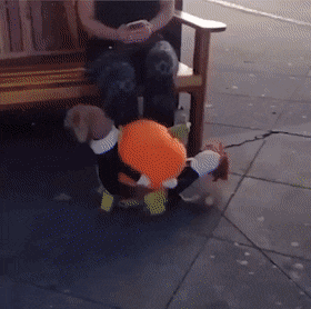 Acid GIFs, September 1 (25 gifs)