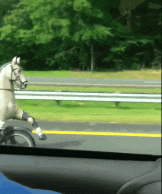 Acid GIFs, September 1 (25 gifs) Acid GIFs, September 1 (25 gifs)