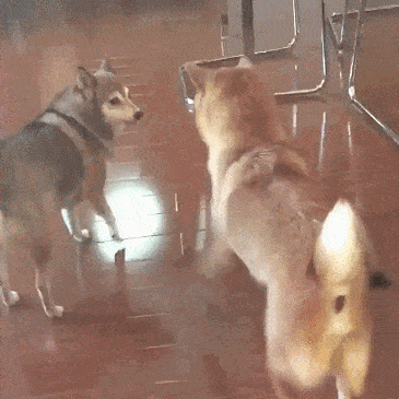 Acid GIFs, September 1 (25 gifs) Acid GIFs, September 1 (25 gifs)