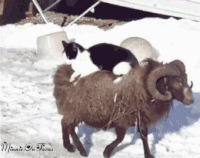 Acid GIFs, September 1 (25 gifs) Acid GIFs, September 1 (25 gifs)