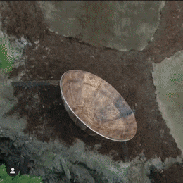 Acid GIFs, September 1 (25 gifs) Acid GIFs, September 1 (25 gifs)