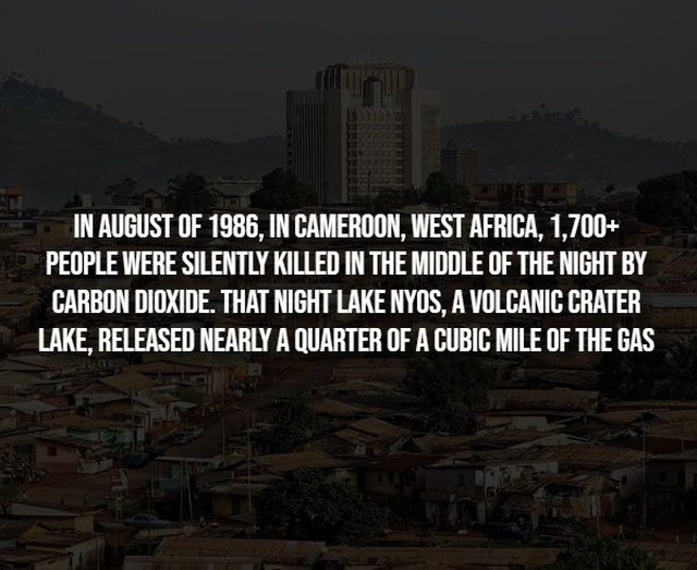 Creepy Facts (14 pics)