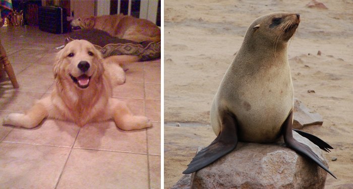 Unexpected Coincidences (23 pics)