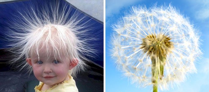 Unexpected Coincidences (23 pics)
