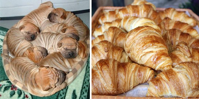 Unexpected Coincidences (23 pics)