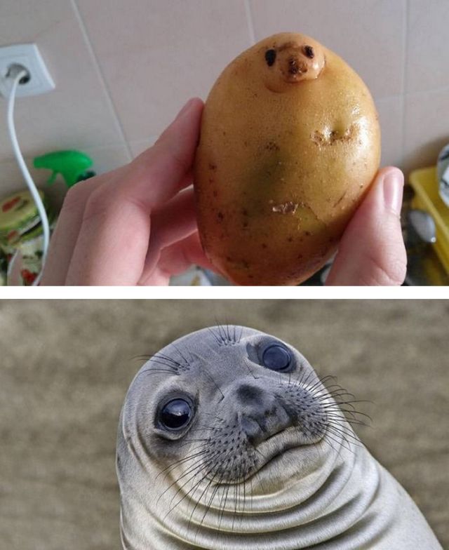 Unexpected Coincidences (23 pics)