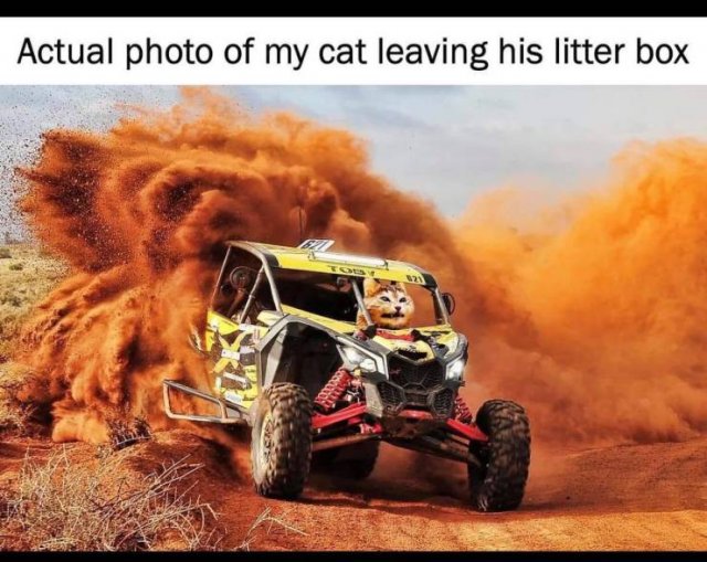 Daily Pictures. Part 2 (63 pics)