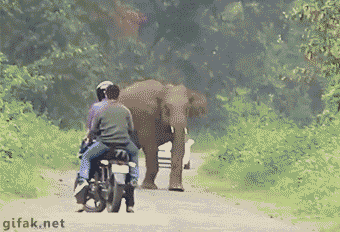 Acid GIFs, September 2 (25 gifs) Acid GIFs, September 2 (25 gifs)