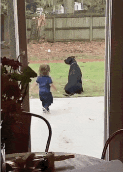Acid GIFs, September 2 (25 gifs) Acid GIFs, September 2 (25 gifs)