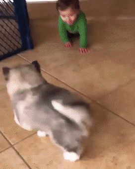 Acid GIFs, September 2 (25 gifs) Acid GIFs, September 2 (25 gifs)