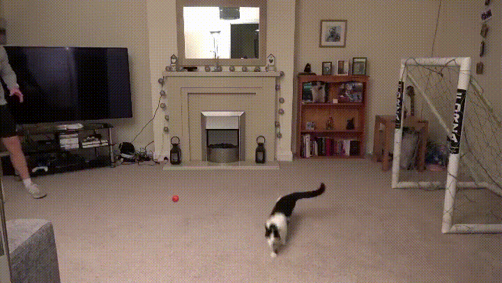 Acid GIFs, September 2 (25 gifs) Acid GIFs, September 2 (25 gifs)
