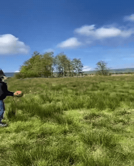 Acid GIFs, September 3 (25 gifs) Acid GIFs, September 3 (25 gifs)