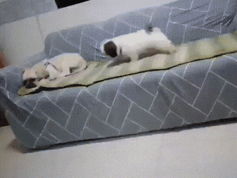Acid GIFs, September 3 (25 gifs) Acid GIFs, September 3 (25 gifs)