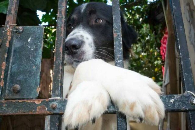 Positive Photos For A Good Mood (27 pics)