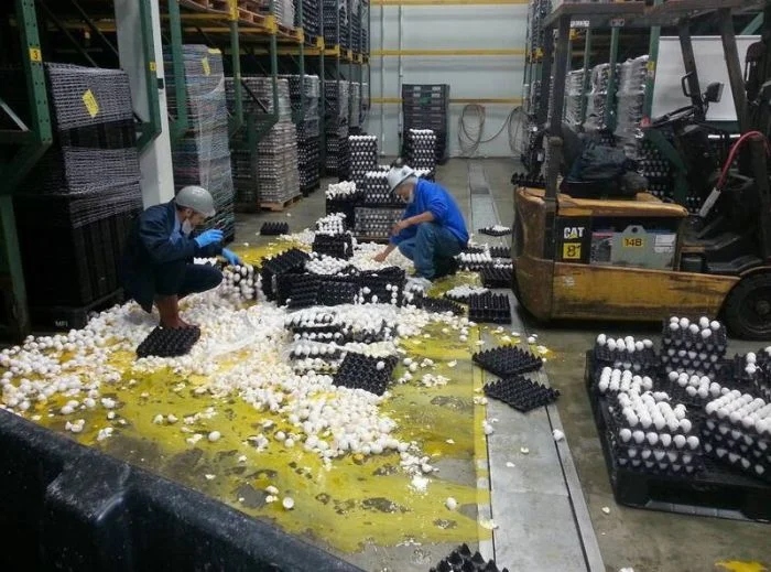 Bad Days Happen (18 pics)