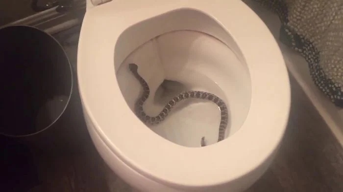 Bad Days Happen (18 pics)