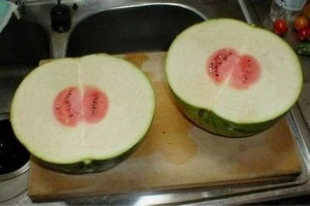 Bad Days Happen (18 pics)