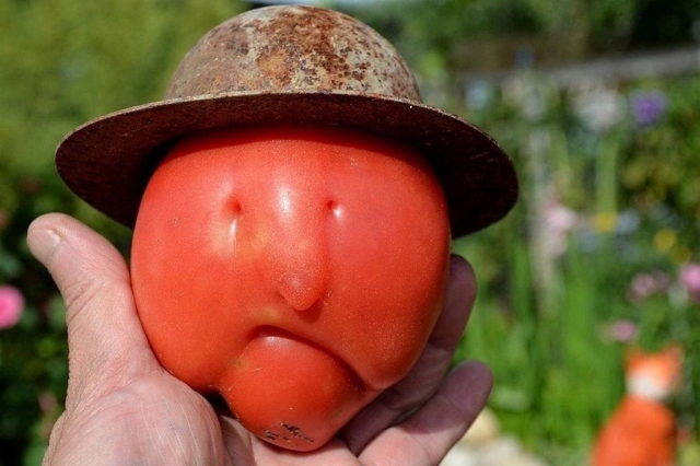 This Is Pareidolia (17 pics)