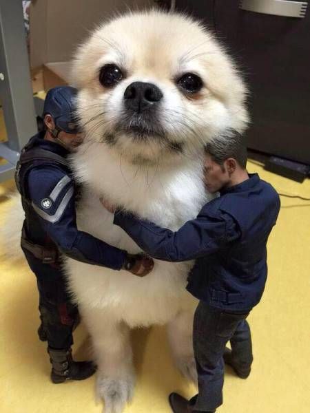 Daily Pictures. Part 1 (64 pics)