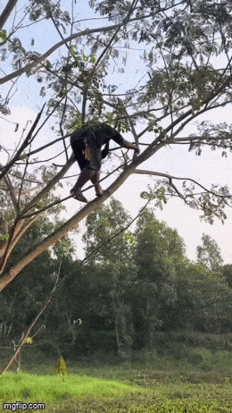 Acid GIFs, September 4 (25 gifs) Acid GIFs, September 4 (25 gifs)