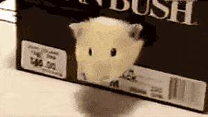 Acid GIFs, September 4 (25 gifs) Acid GIFs, September 4 (25 gifs)