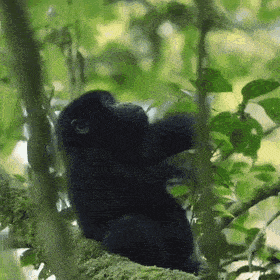 Acid GIFs, September 4 (25 gifs) Acid GIFs, September 4 (25 gifs)