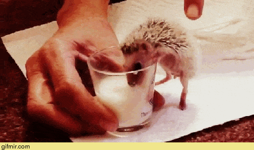 Acid GIFs, September 4 (25 gifs) Acid GIFs, September 4 (25 gifs)